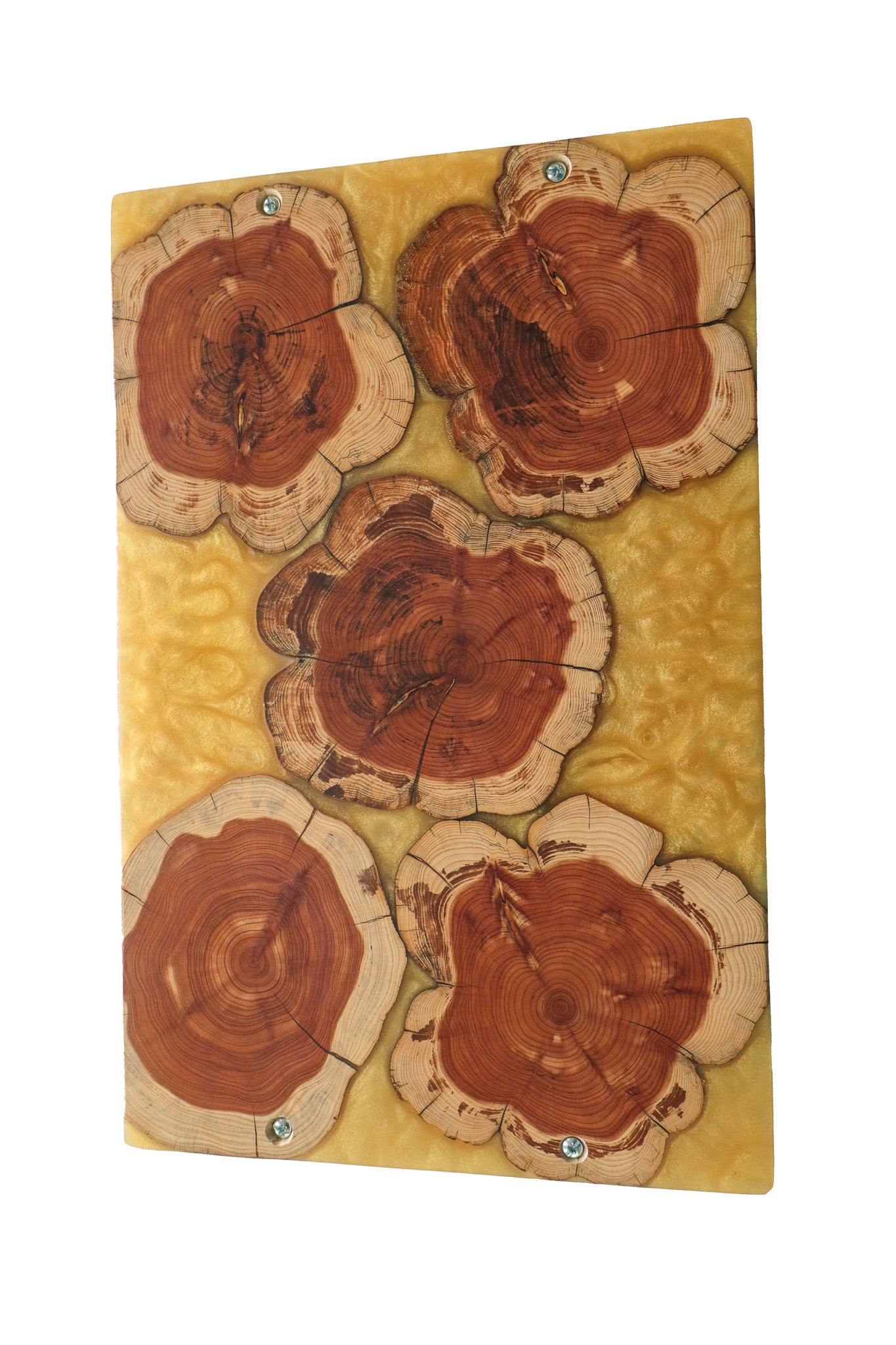 Cedar Rounds Gold Epoxy Serving Tray